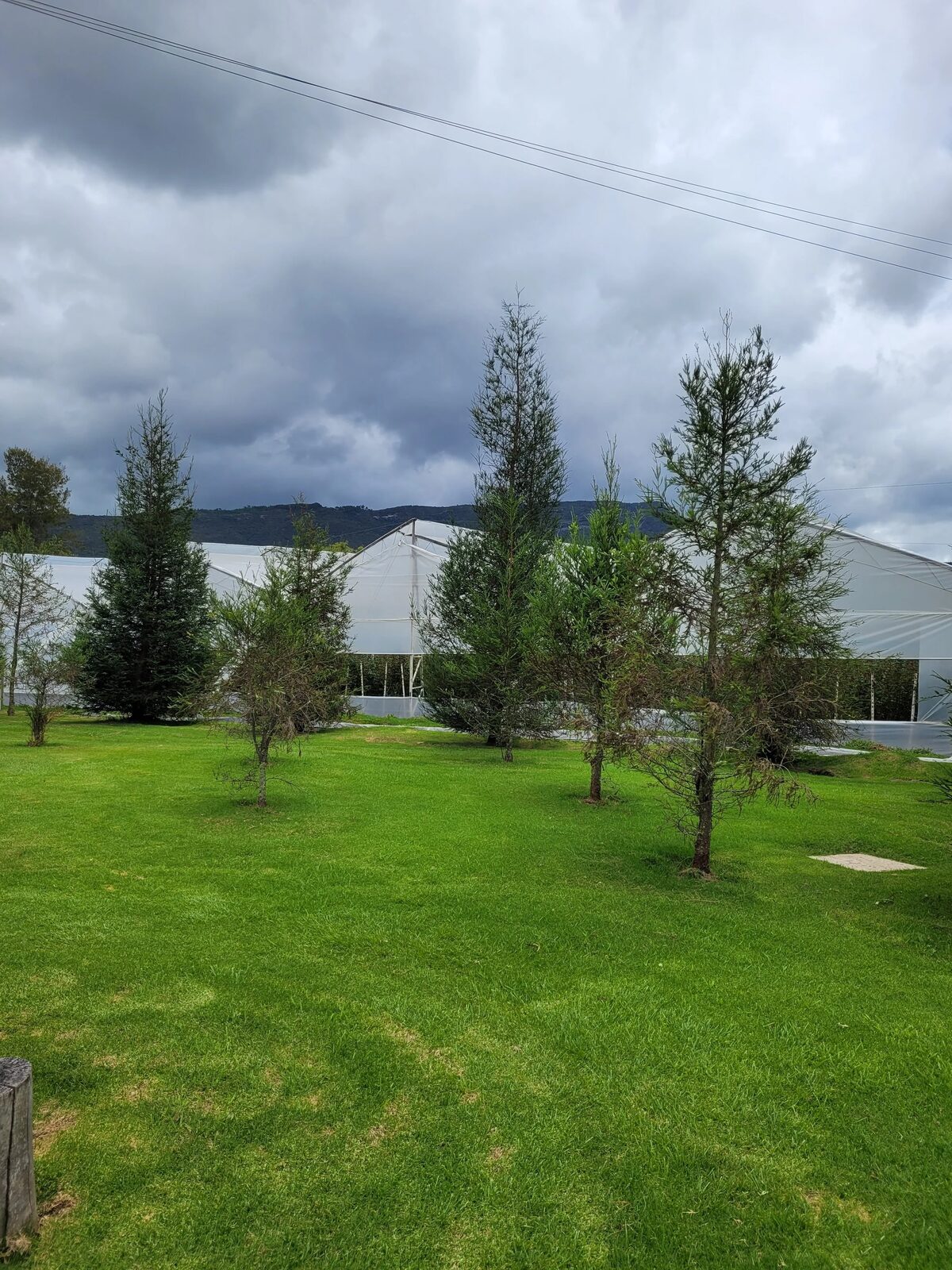 Desarrollo ambiental