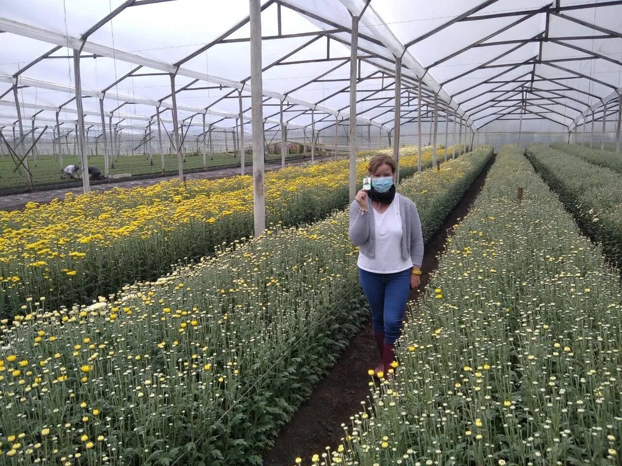 Aseguramiento de calidad en cultivo